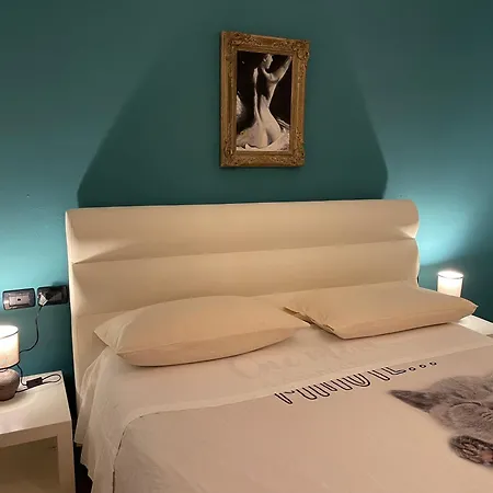 Venicerelax Gardenclass *